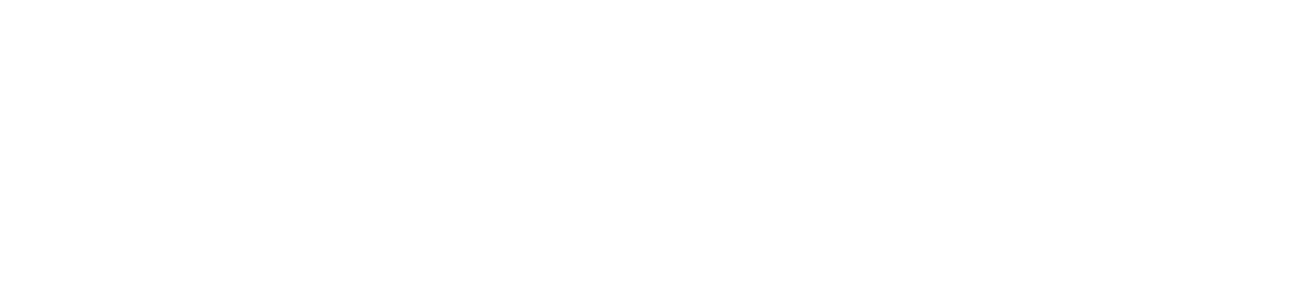 European Union Logo